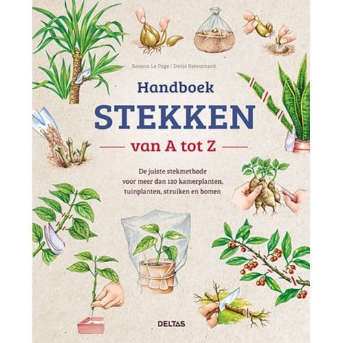 Handboek Stekken Van A Tot Z - ROSENN LE PAGE