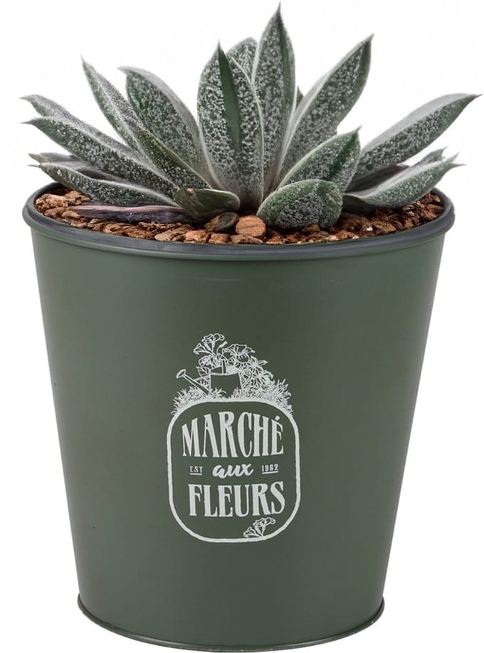 Sunnydays Emmer/plantenpot/bloempot - zink - legergroen - D23 x H22 cm
