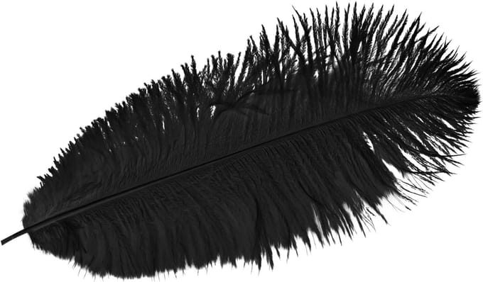 Decoratieve struisvogelveren zwarte veren 38-40cm 2 st