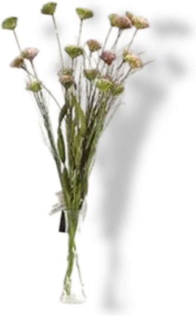 Kunst Tak Allium Wit/Roze Buitengewoon de Boet