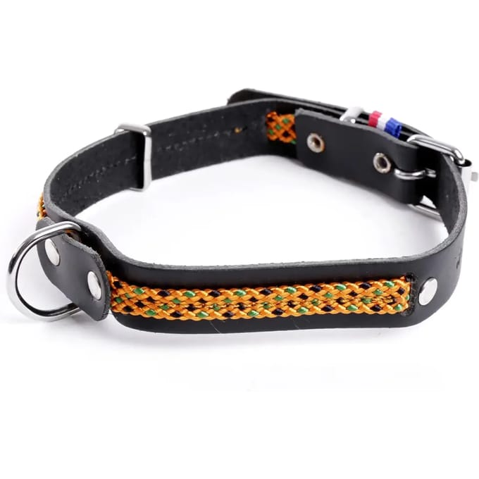 Leren halsband Martin Sellier Colorado