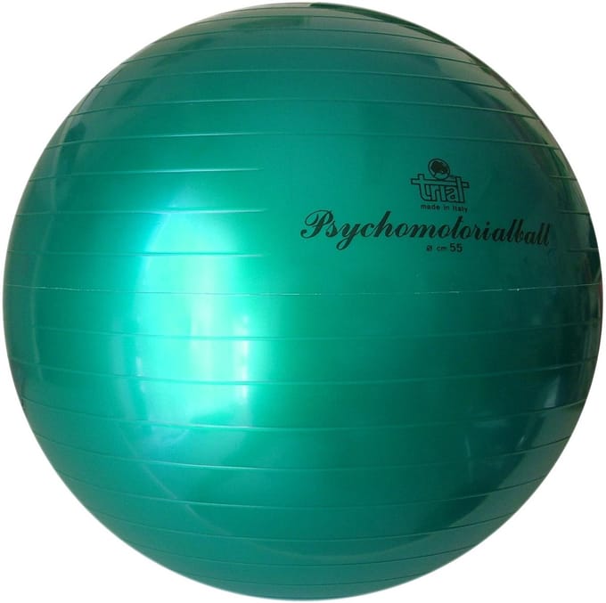 Fysiobal Trial V15 Ø55 cm