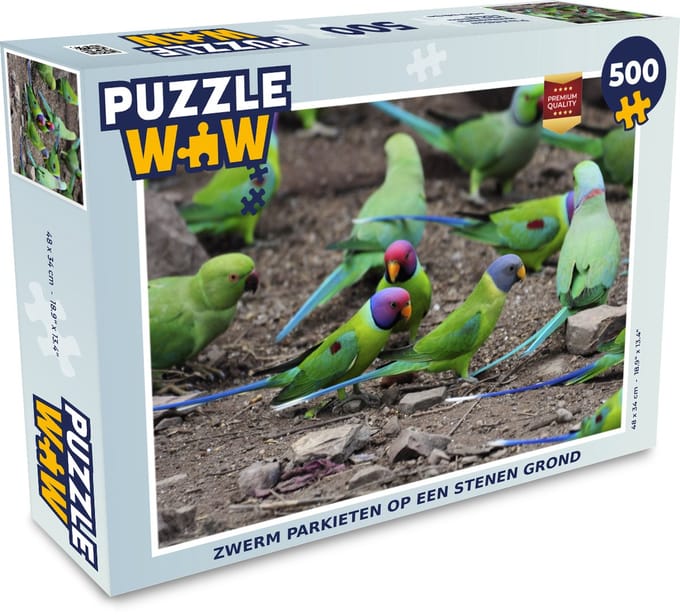 Puzzel Zwerm parkieten op een stenen grond - Legpuzzel - Puzzel 500 stukjes