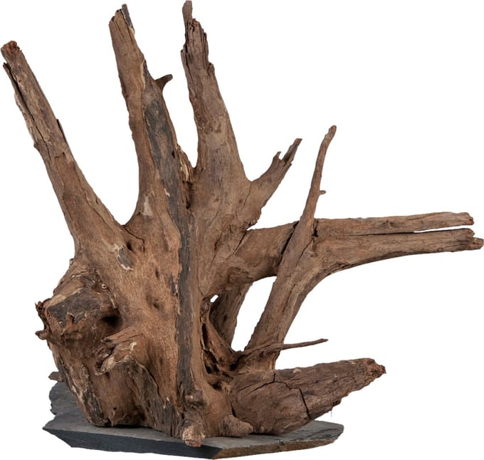 Sera Scaper Wood M - 18-20 CM