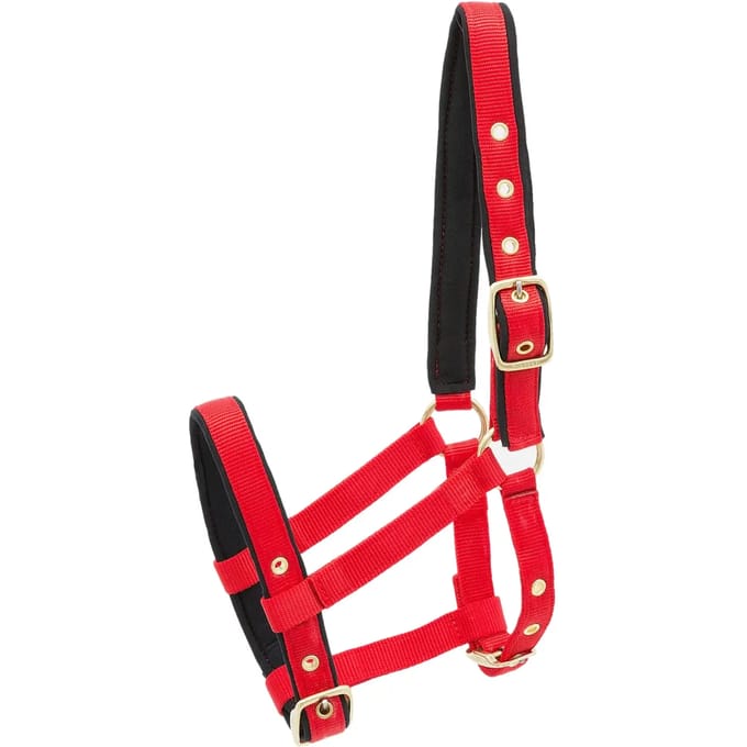 Nylon hoofdstel voor paard Kieffer