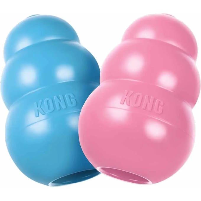 Puppy speelgoed Kong