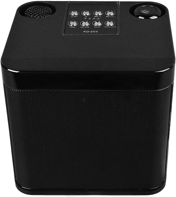 Draagbare Karaoke Machine met 2 Draadloze Microfoons en Krachtige Subwoofer