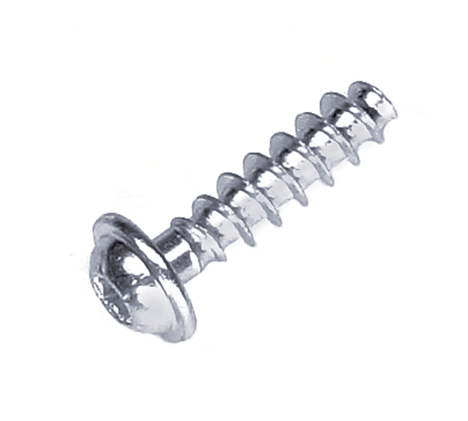 Screw