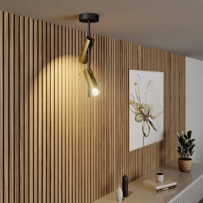 Sigma LEDA 2 Plafondlamp Zwart Goud - Stijlvol en Functioneel