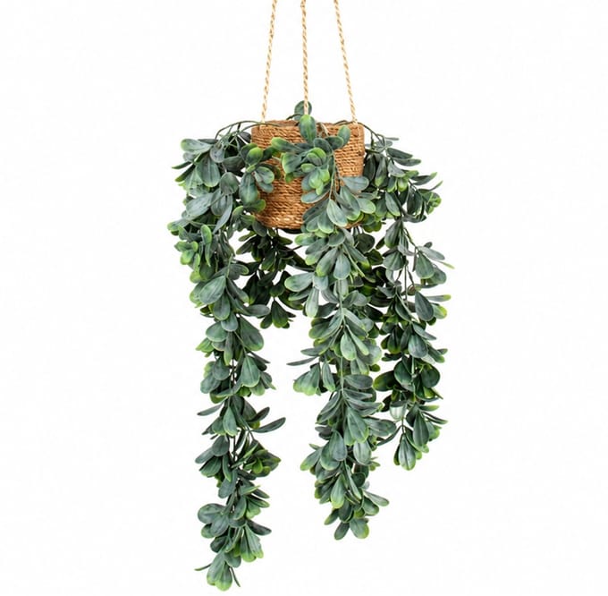 Kunstplant Crassula in hangmand naturel L140cm