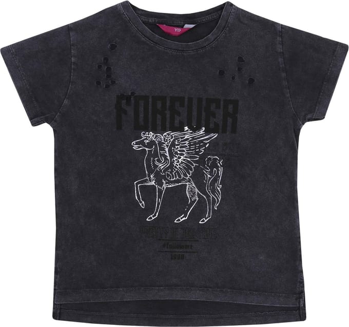 Grijs shirt met pegasus