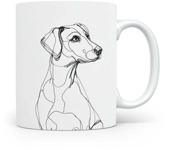 Beker Schillerstövare (Schiller Hound)