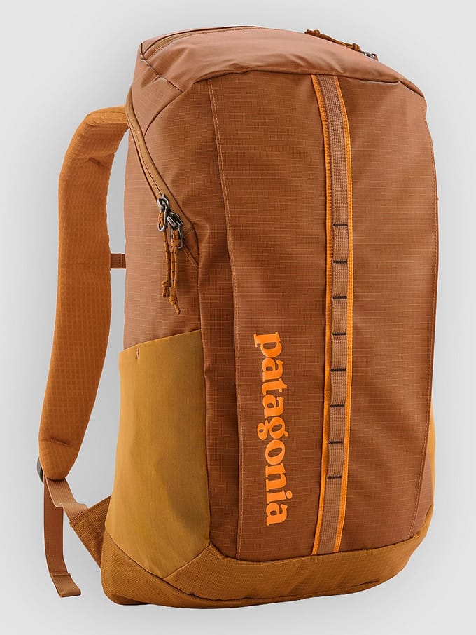 Patagonia Black Hole 25L Rugzak bruin