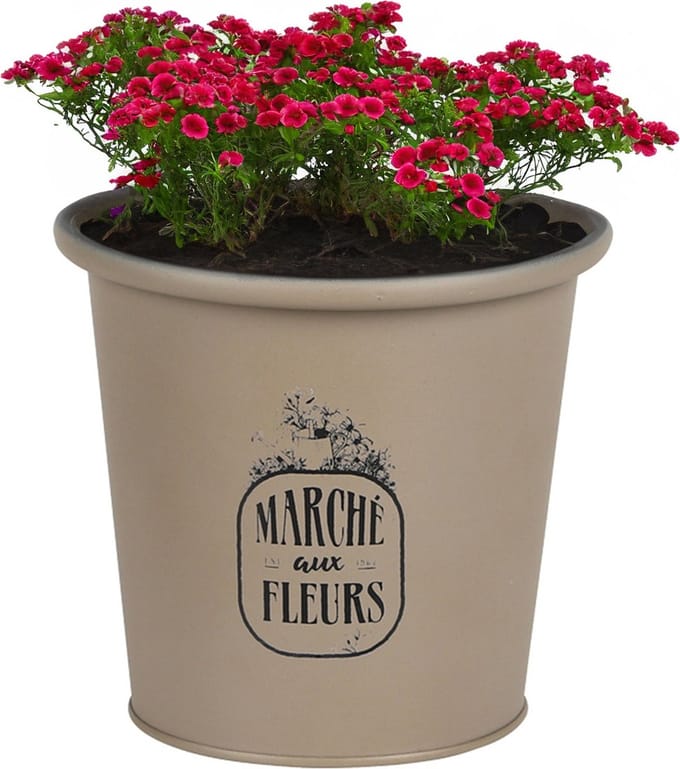Sunnydays /plantenpot/bloempot - zink - taupe - D14 x H13 cm