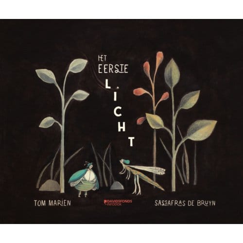 Het Eerste Licht - Tom Marien
