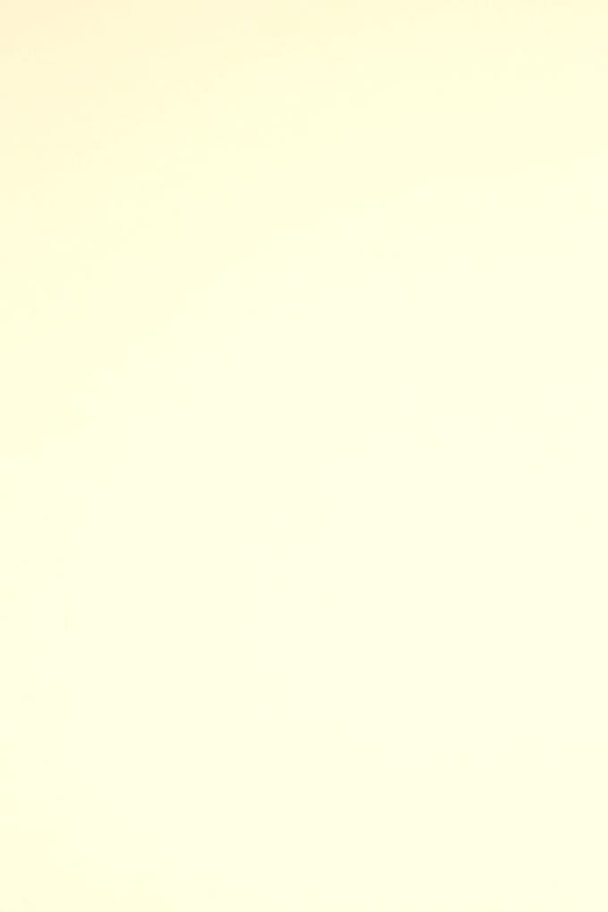 Netuno - crème glad gekleurd papier - A4 - 21 x 29,7 cm - 20 vellen - 230 gram - Rainbow Creme R03