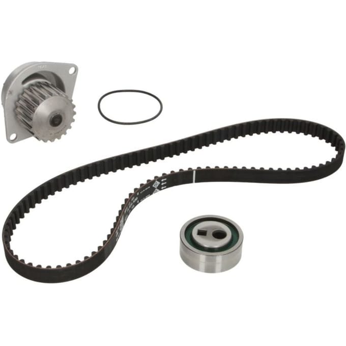 Schaeffler Ina Waterpomp+distributieriem set INA 530 0252 30