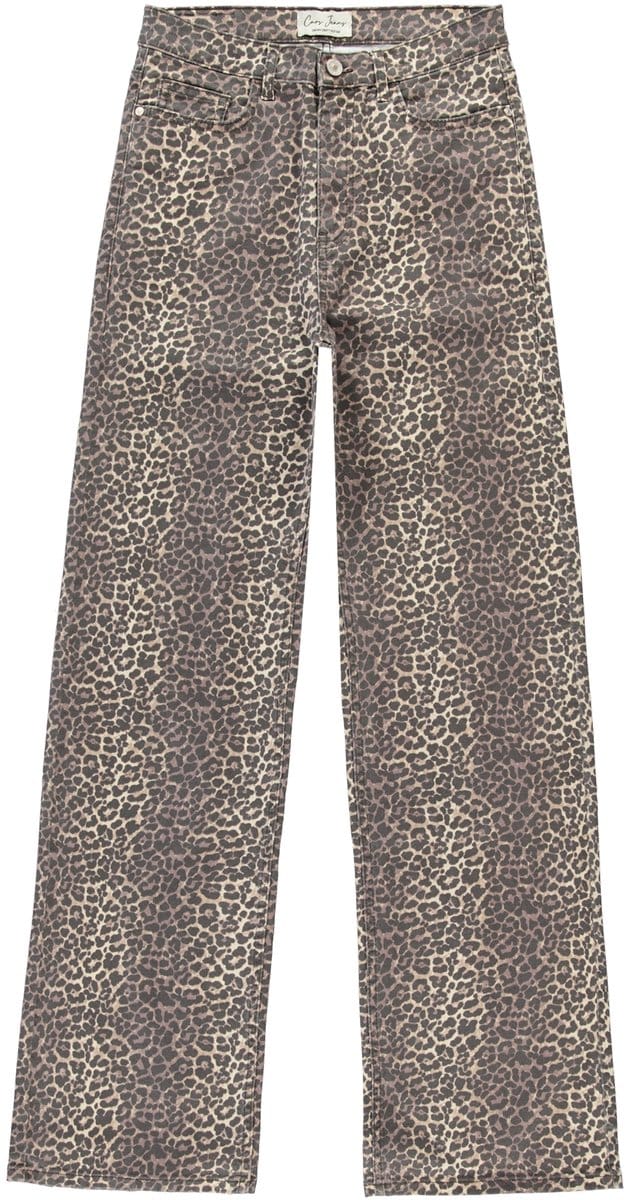 Cars Jeans Jeans Yara Loose Fit - Dames