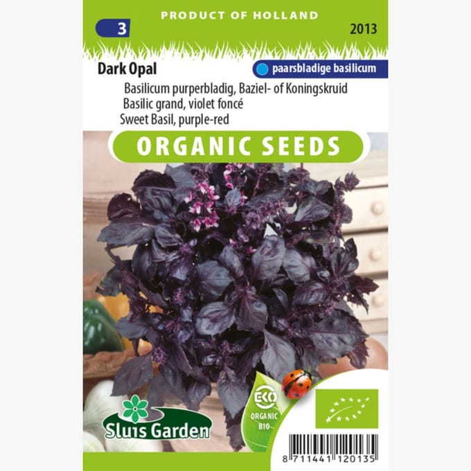 Sluis Garden - Basilicum Dark Opal Biologisch (Ocimum basilicum)