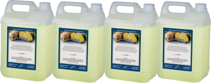 Handzeep Fresh Ginger 5 liter - set van 4 stuks - navulling - Voordeelverpakking