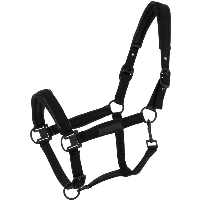 Halster voor paarden Equithème Pearl