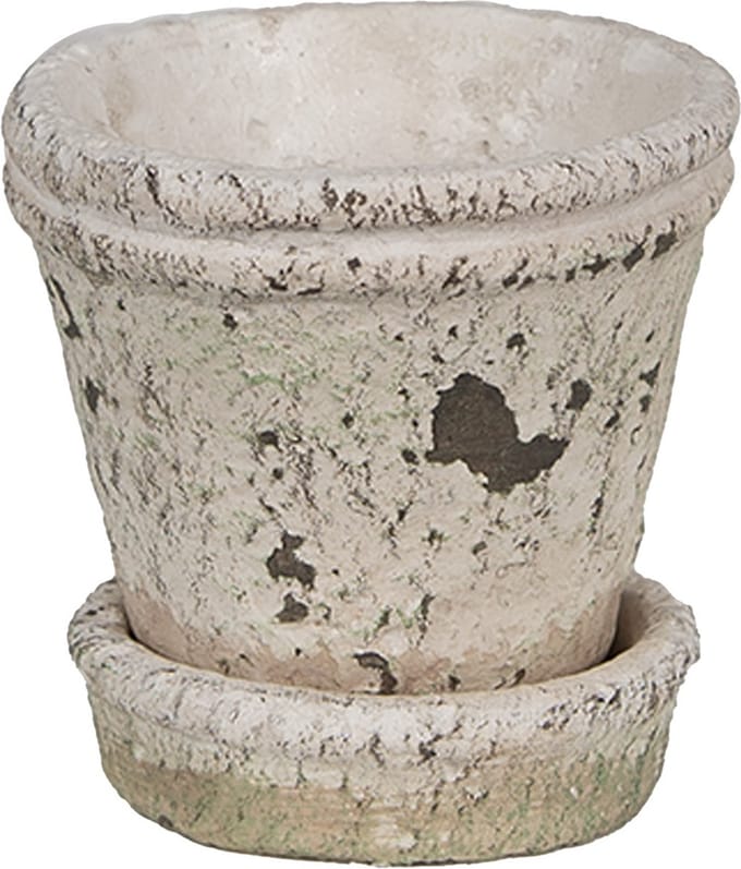 Bloempot voor Binnen – Beige – Rustieke Pot – Ø 9 cm – Steen