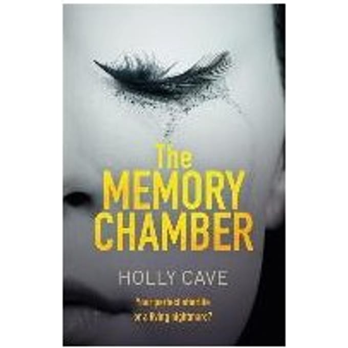 The Memory Chamber - Holly Cave