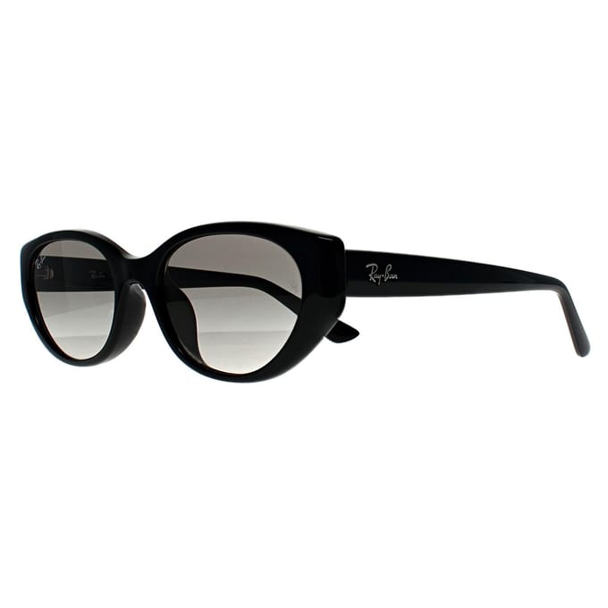 Ray-Ban RB4457D Bio Based 667711 gepolijste zwart grijs gradiënt zonnebril