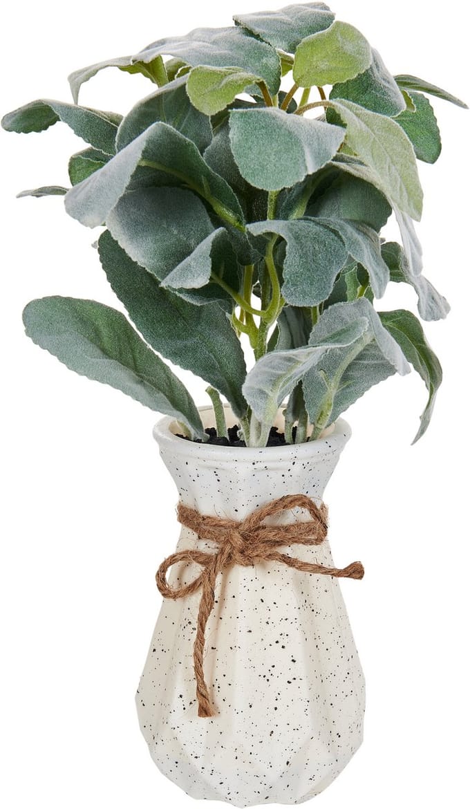 PEPEROMIA ARGYREIA - Kunstplant - Groen - 30 cm - Synthetisch