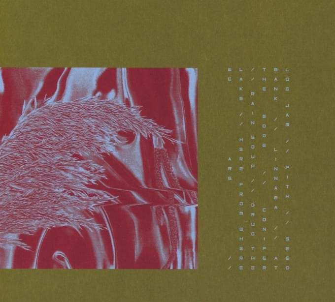 Pariah - Here From Where We Are (CD)