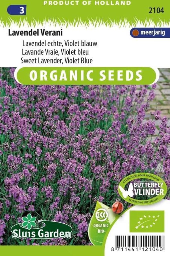 Sluis Garden - Lavendel Verani Biologisch (Lavandula angustifolia)