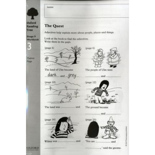 Oxford Reading Tree: Level 9: Workbooks: Workbook 3: The Quest And Survival Adventure (Pack Of 6) - Thelma Page