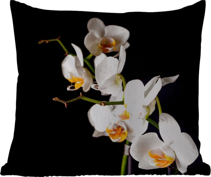 Buitenkussen - Orchidee - Bloemen - Planten - Botanisch - 45x45 cm - Weerbestendig