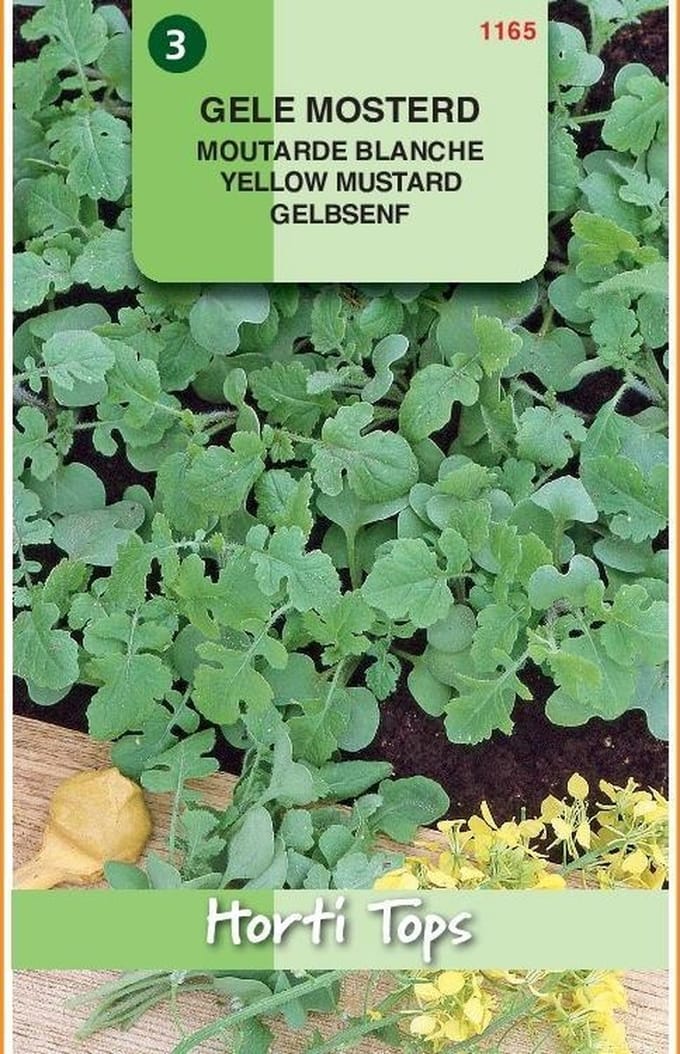 Hortitops Zaden - Mosterd, Gele