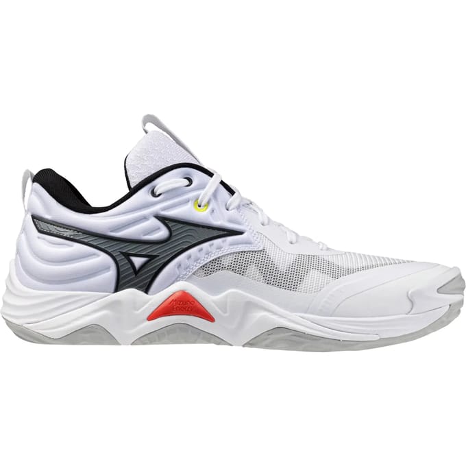 Indoor schoenen Mizuno Wave Momentum Elite