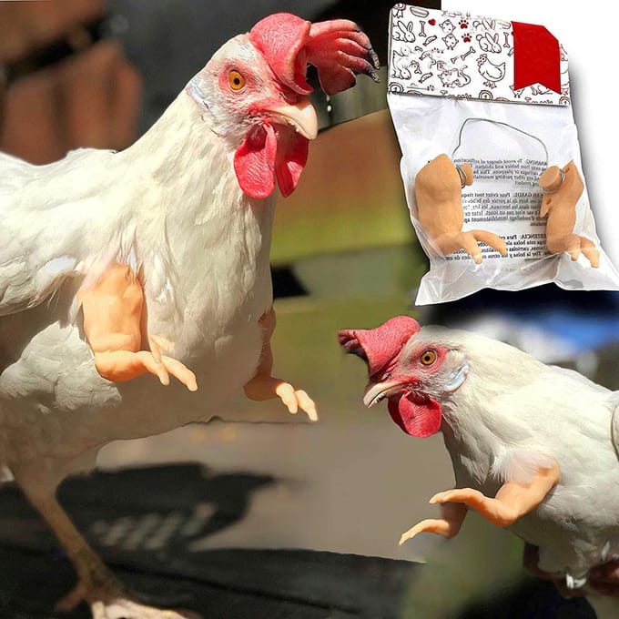 Kippenarmen Gagcadeau Kippen Kostuum Armen Speelgoed voor Vogel Kip zwart