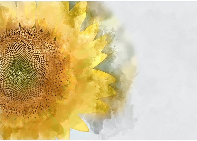 *SALE - Sunflower- Mint by Michelle decoupage papier A1