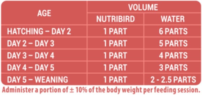 Versele-Laga Nutribird A21 Baby Vogels - Vogelvoer - 250 g