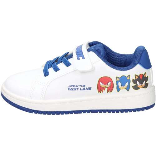 Sneakers Dessins Animés SC001280