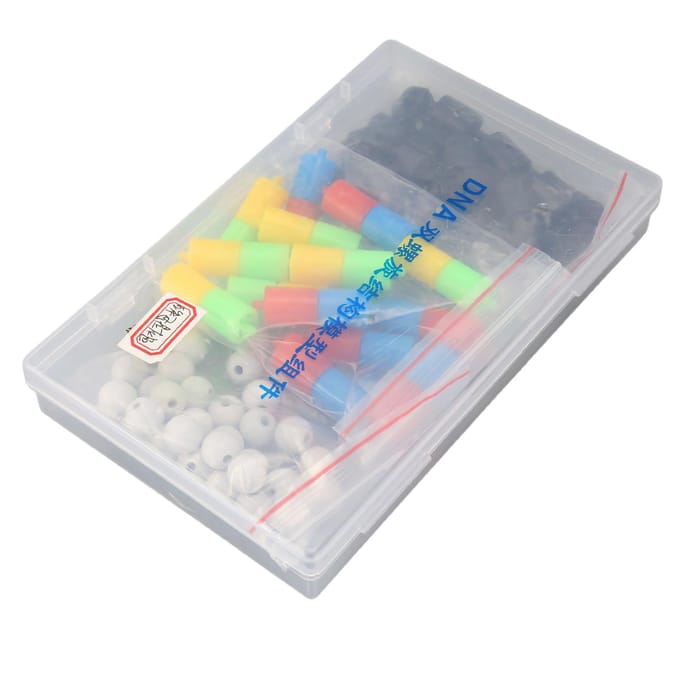 Modèles de Structure d'ADN Double Hélice Kit de Modèles d'ADN Double Hélice Éducatifs Science Biologique white