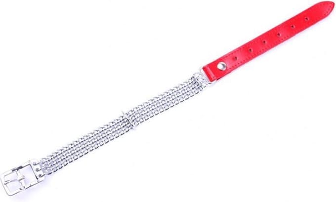 Collar met kettingen en rood leer