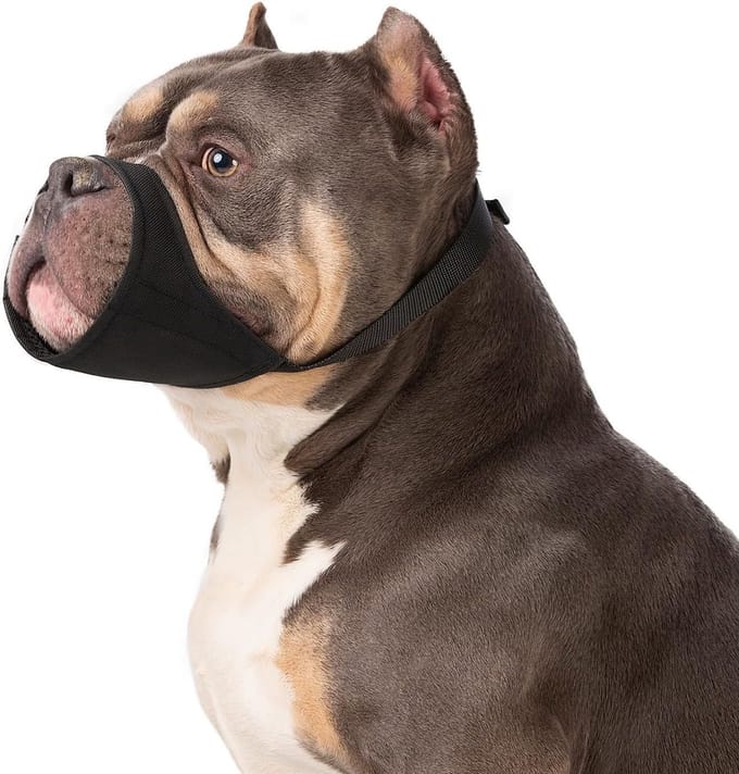 SolidKeus - Muilkorf voor Grote Honden zoals Pitbulls en Rottweilers