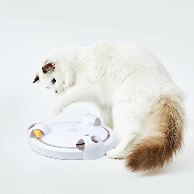 Vang Muis Kat Draaitafel Interactief Snelheid Instelbaar Kat Roterende Draaitafel Speelgoed met 3 Muis wit