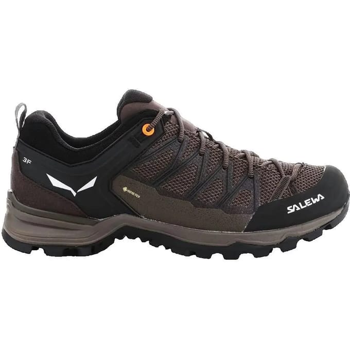 Wandelschoenen Salewa Mtn Lite