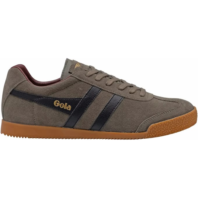 Baskets Gola Harrier