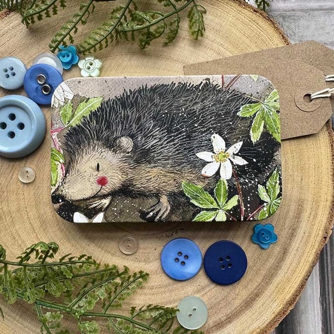 Alex Clark Rectangle Tin Mr. Prickly ~ Langwerpig opbergblikje egel