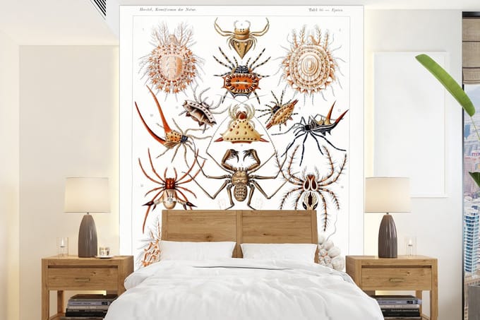 Behang - Fotobehang Retro - Spin - Ernst Haeckel - Spinnen - Breedte 165 cm x hoogte 220 cm