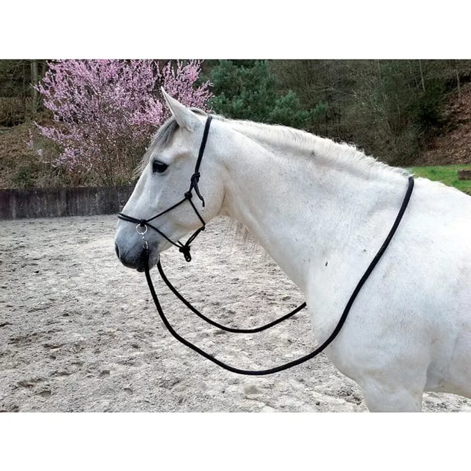 Ethologisch halster voor paarden met teugels Norton
