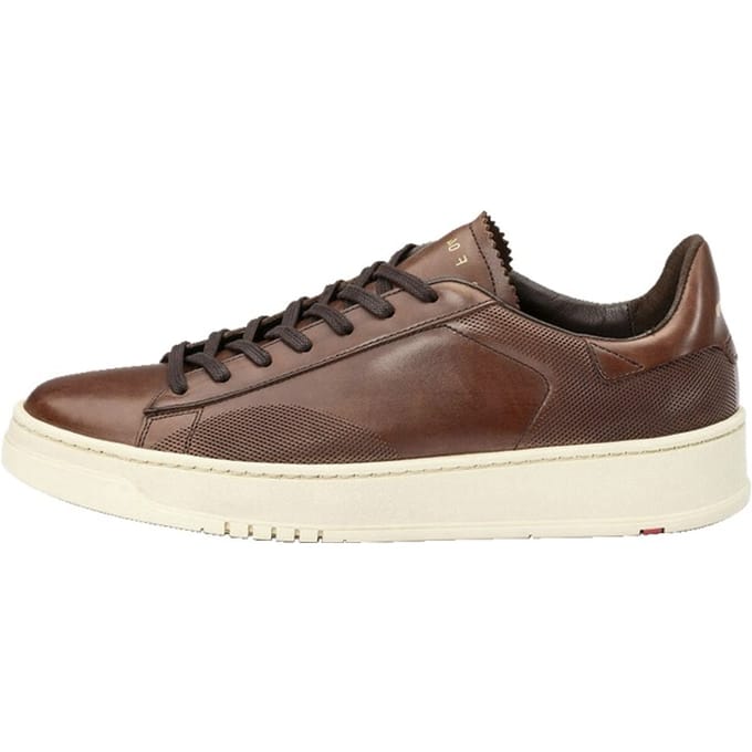 Sneakers LLOYD bruin