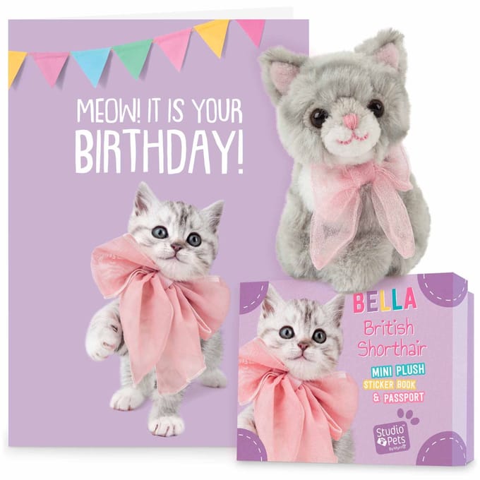 Studio Pets® Set Mini Knuffel Britse Korthaar Kat Bella (8 cm) met Verjaardagskaart